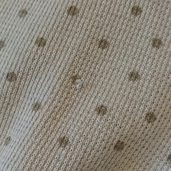 Splendid Polka Dot Hoodie Tee T-shirt - Picture 8 of 10